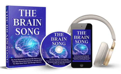 the brain song
